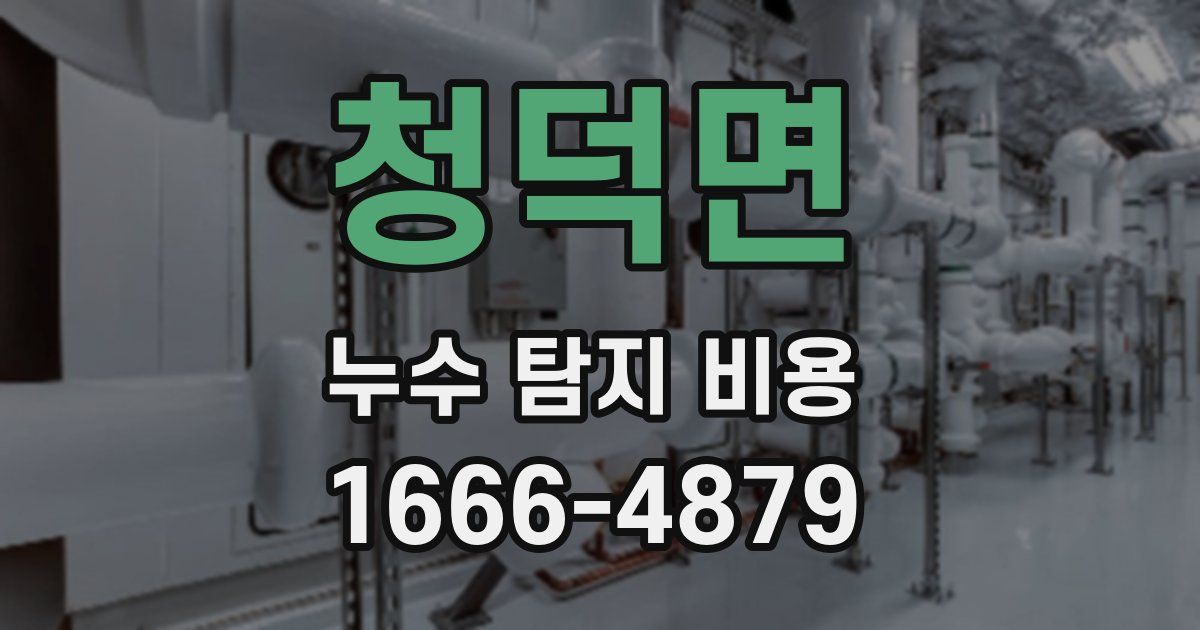 청덕면 누수 탐지 비용