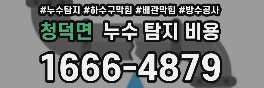 청덕면 누수 탐지 비용