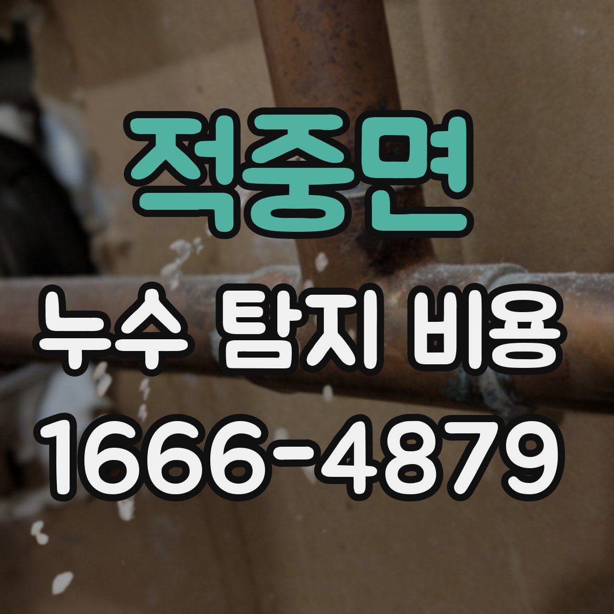 적중면 누수 탐지 비용