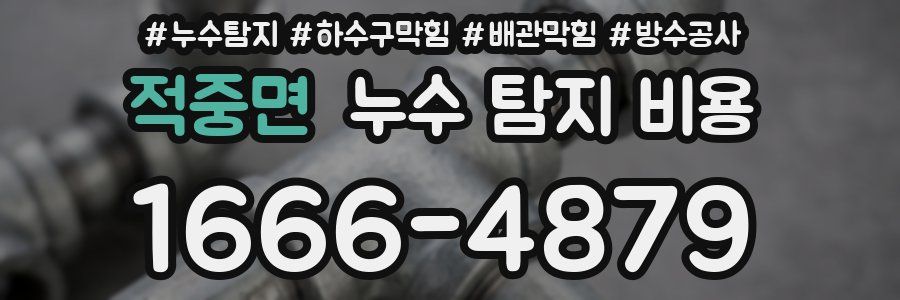 적중면 누수 탐지 비용
