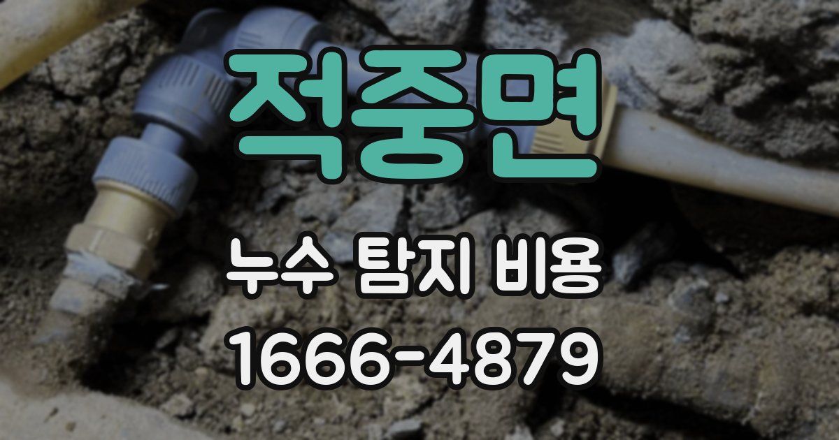 적중면 누수 탐지 비용