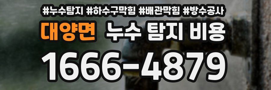 대양면 누수 탐지 비용
