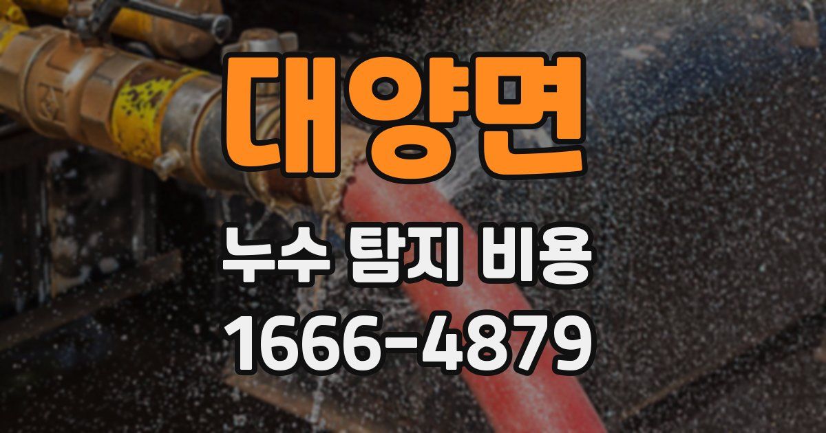 대양면 누수 탐지 비용