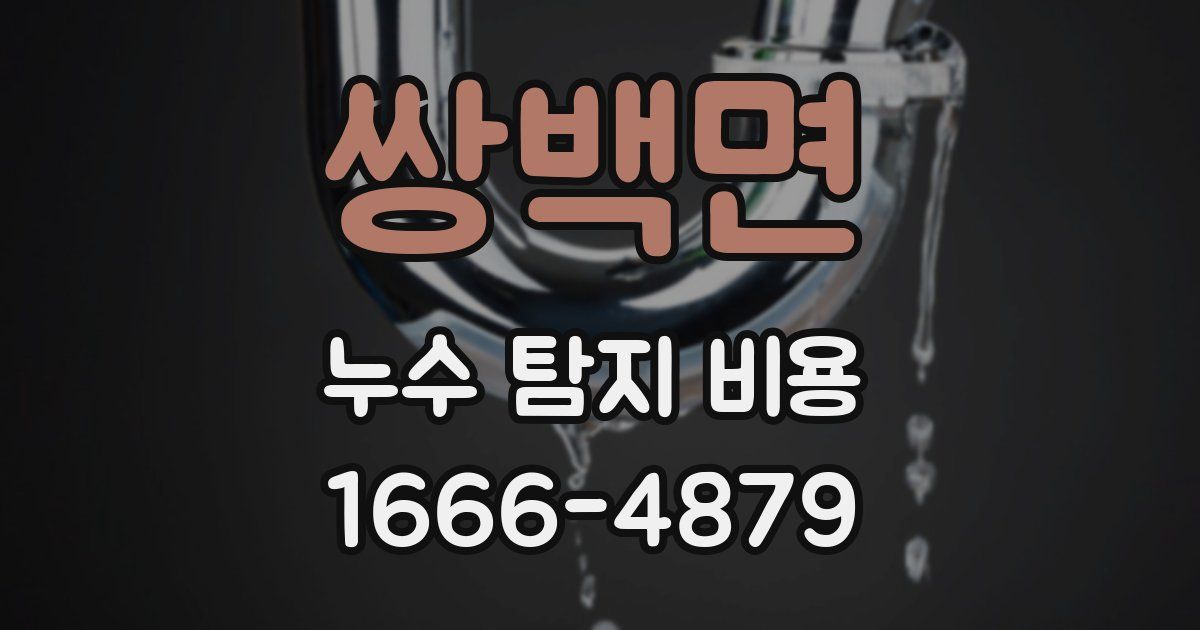 쌍백면 누수 탐지 비용