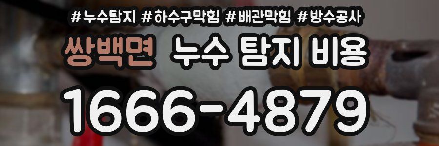 쌍백면 누수 탐지 비용