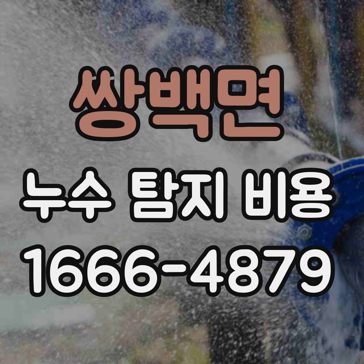 쌍백면 누수 탐지 비용