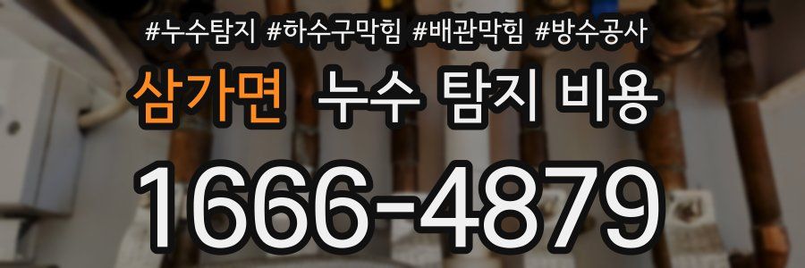삼가면 누수 탐지 비용