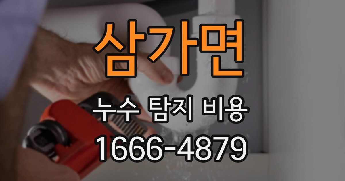 삼가면 누수 탐지 비용