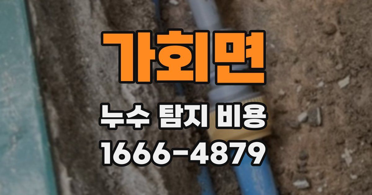 가회면 누수 탐지 비용
