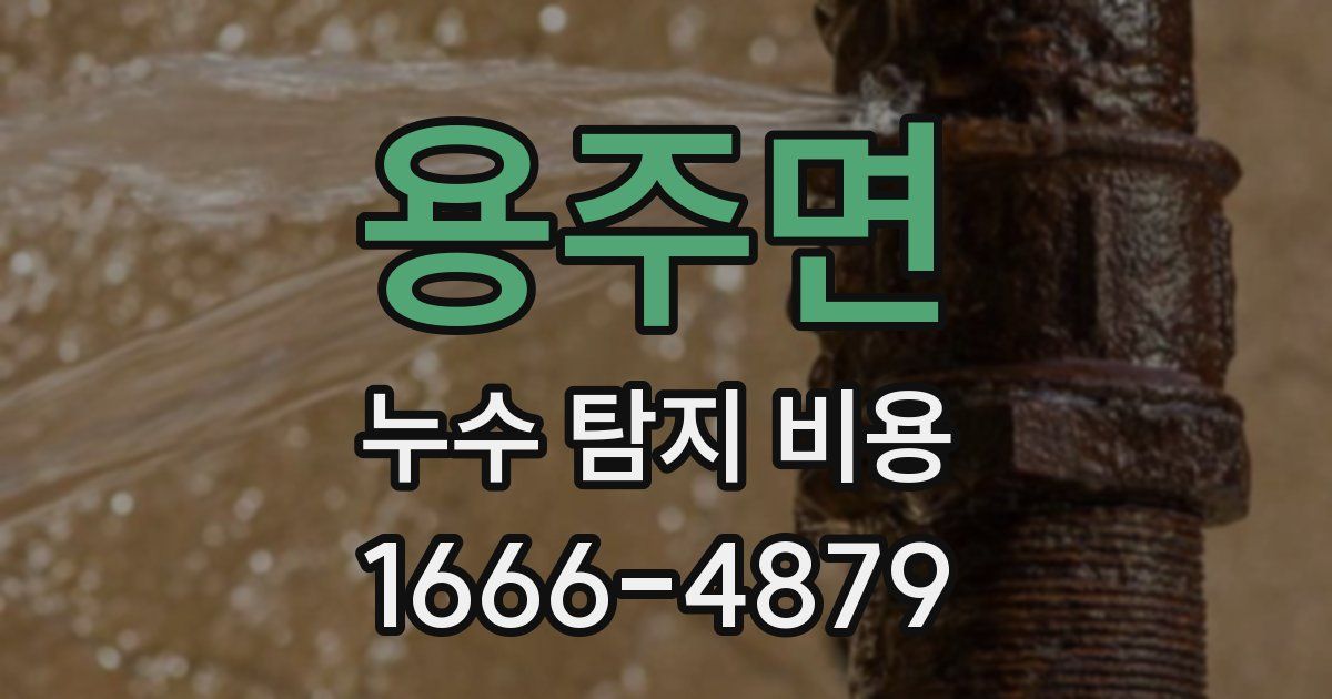 용주면 누수 탐지 비용