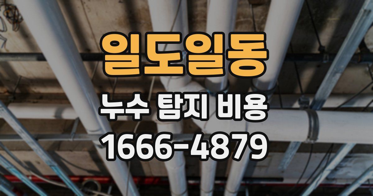 일도일동 누수 탐지 비용