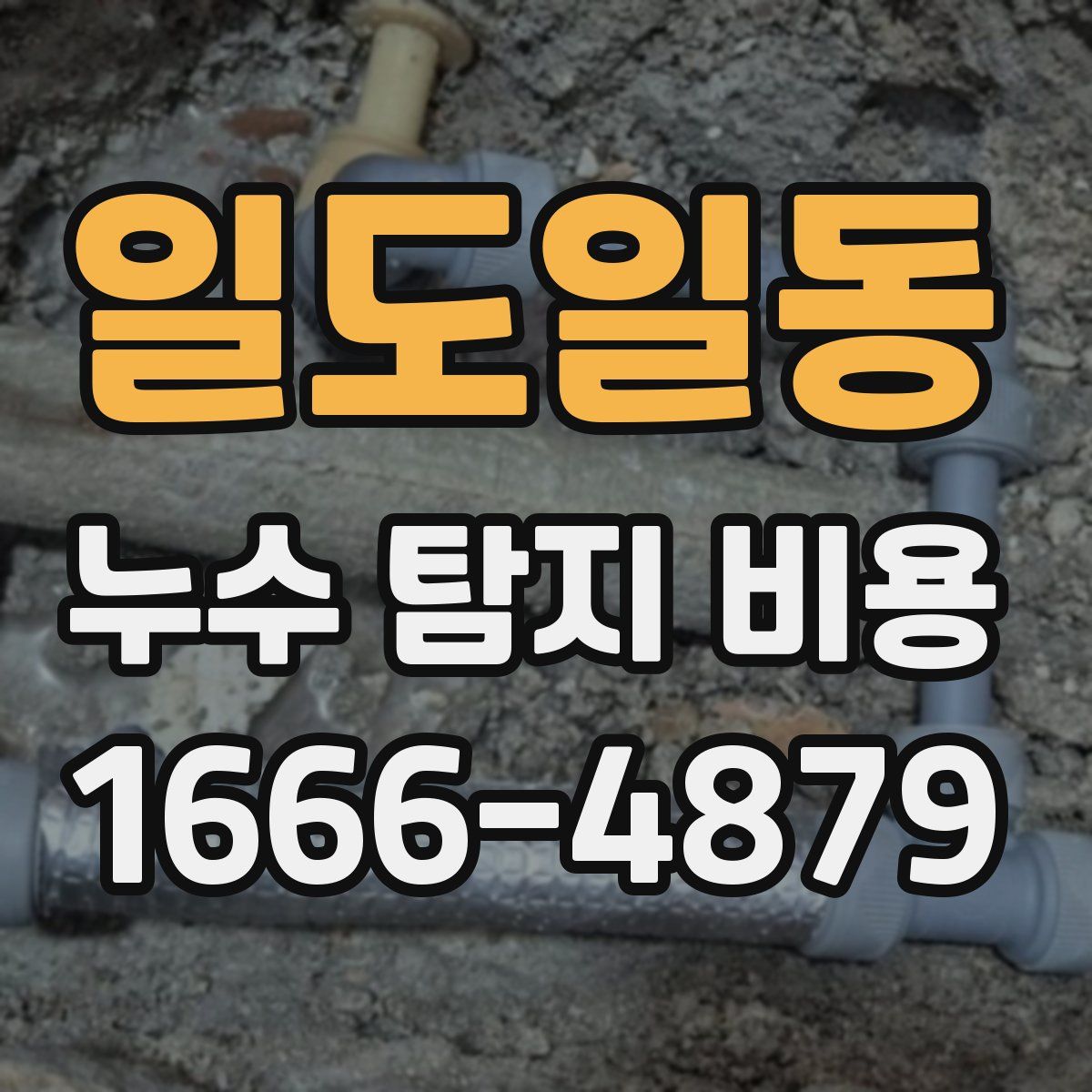 일도일동 누수 탐지 비용