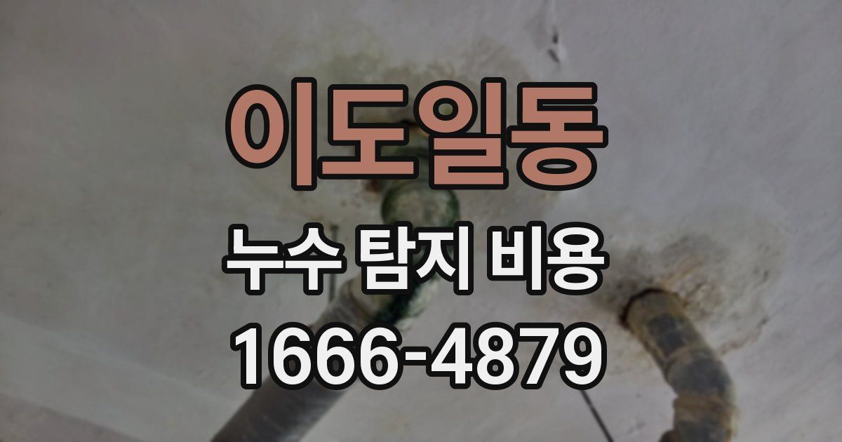 이도일동 누수 탐지 비용