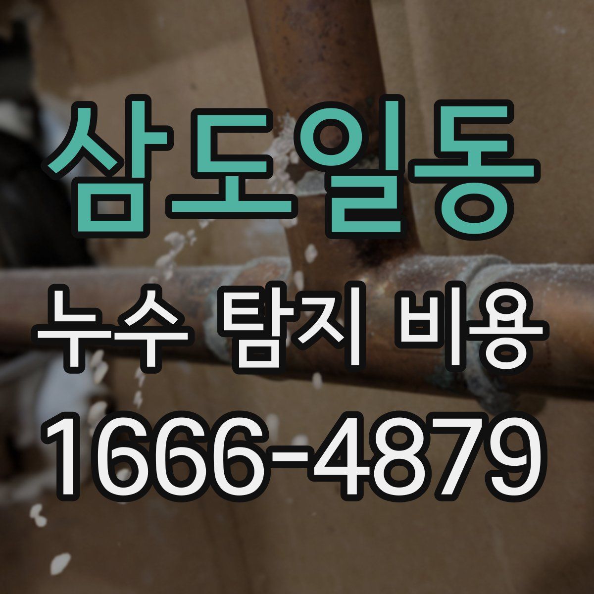 삼도일동 누수 탐지 비용