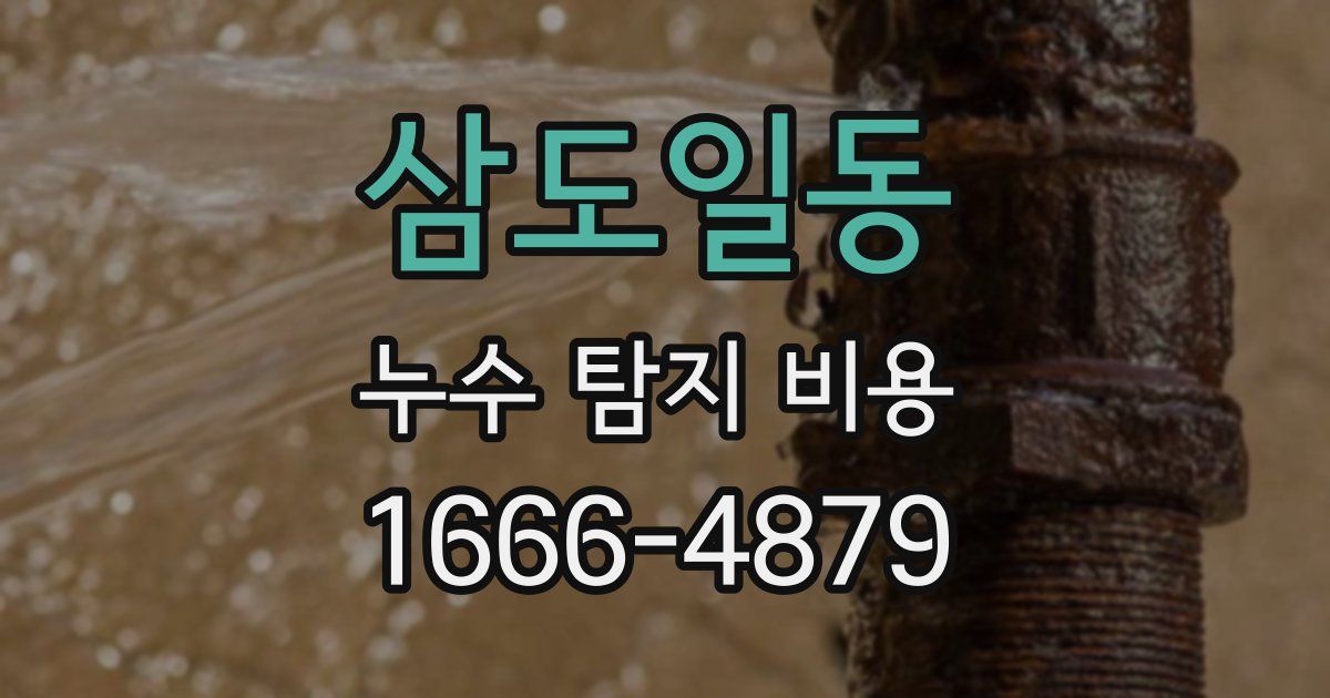 삼도일동 누수 탐지 비용
