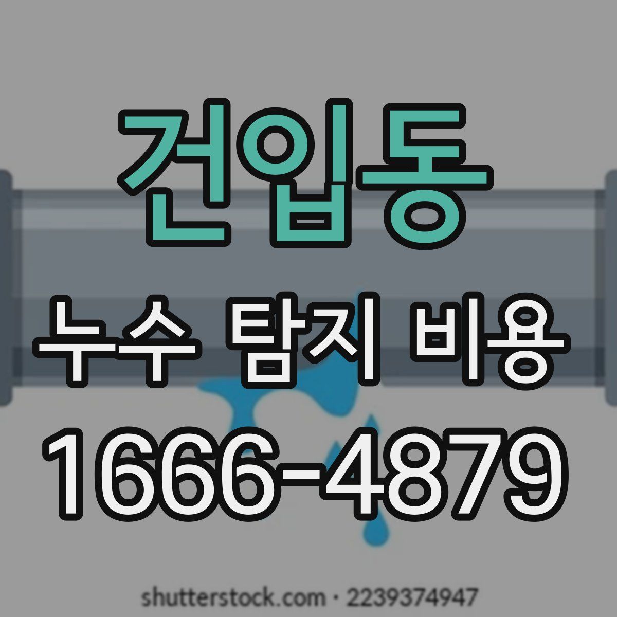 건입동 누수 탐지 비용