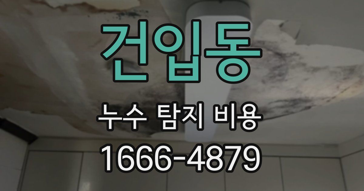 건입동 누수 탐지 비용