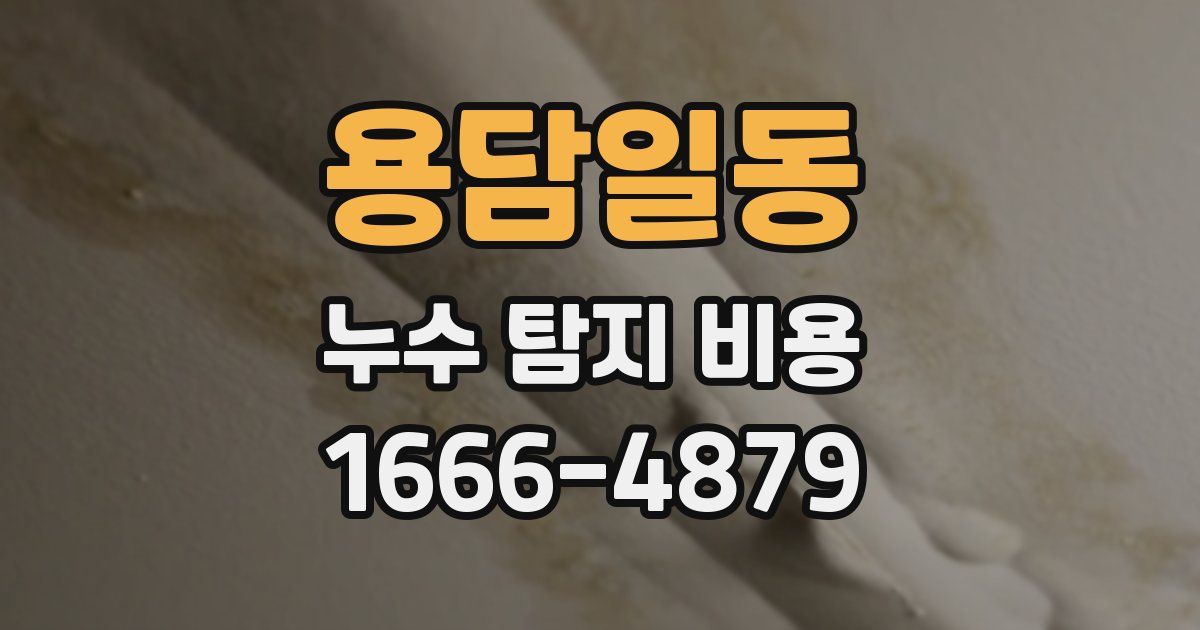 용담일동 누수 탐지 비용