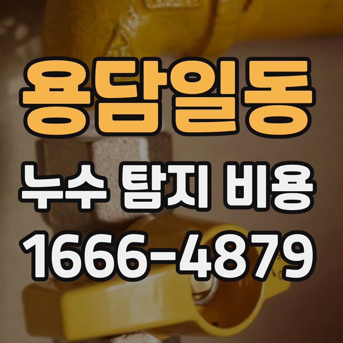 용담일동 누수 탐지 비용