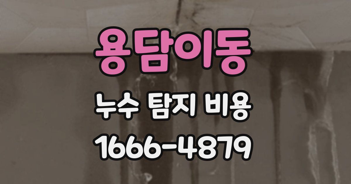 용담이동 누수 탐지 비용