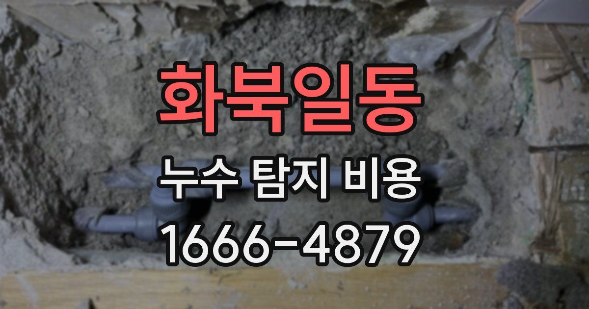 화북일동 누수 탐지 비용