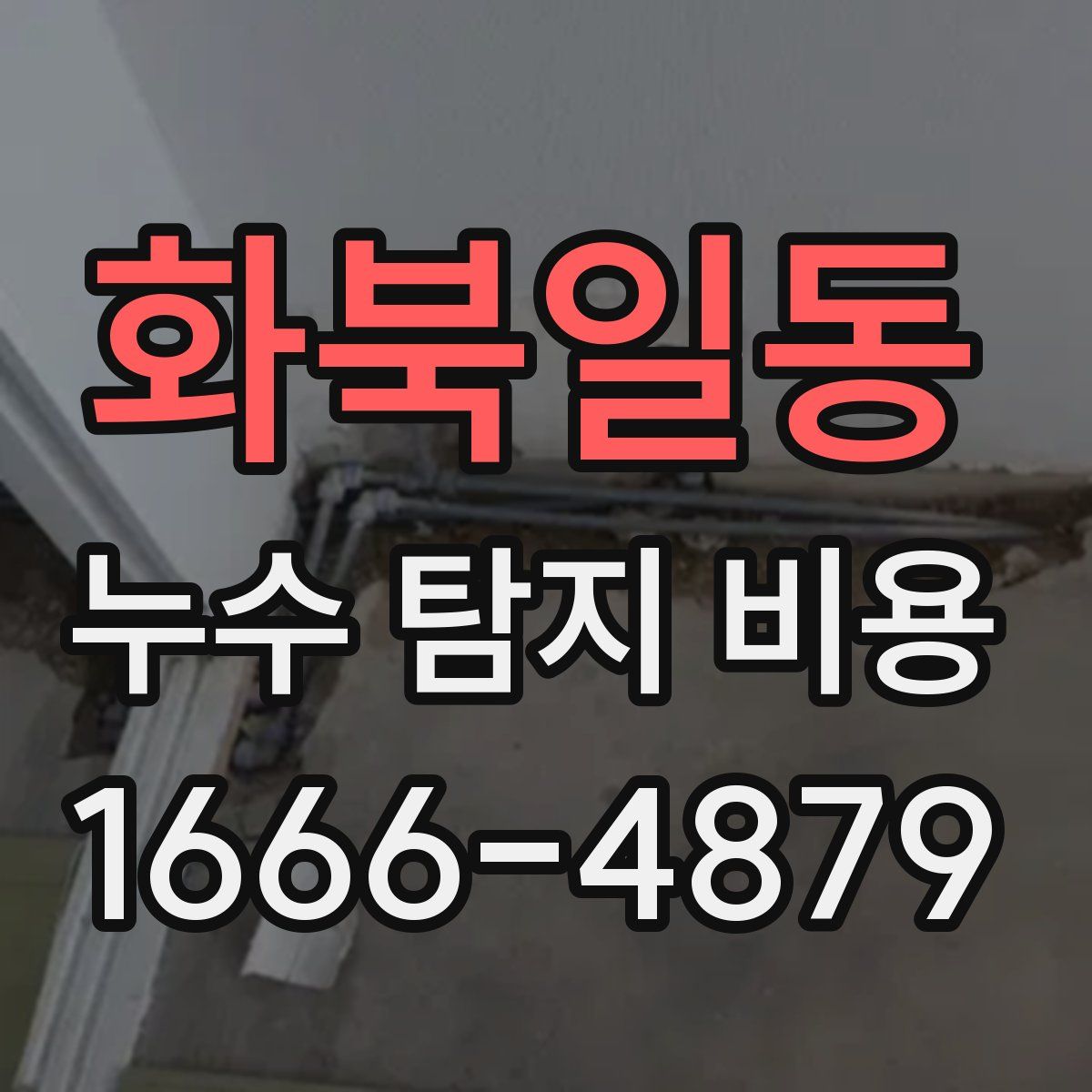 화북일동 누수 탐지 비용