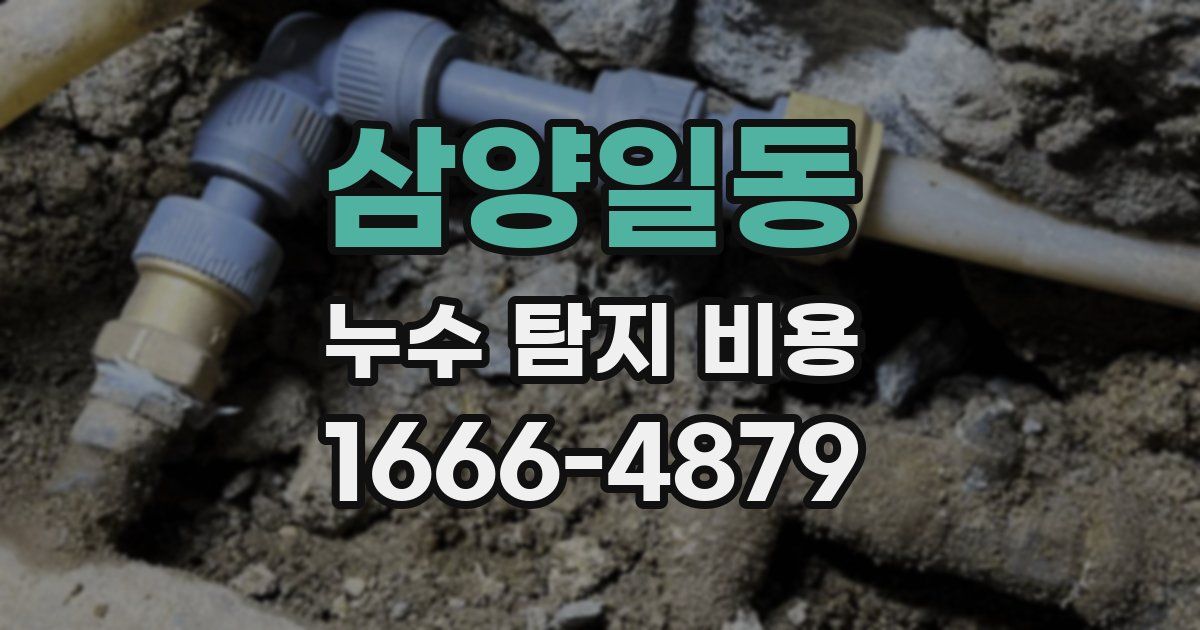 삼양일동 누수 탐지 비용