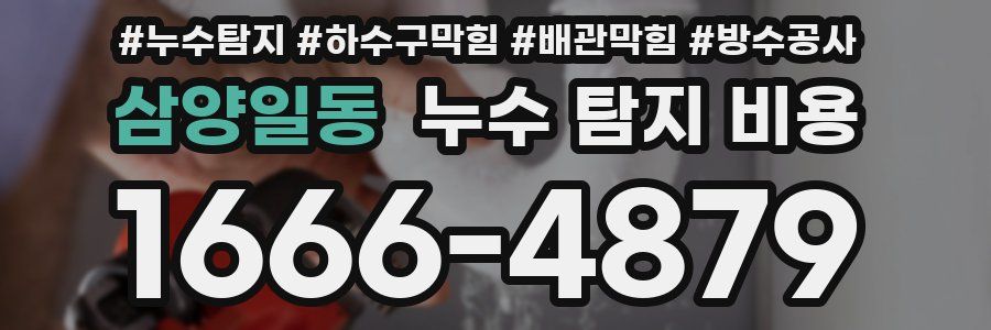 삼양일동 누수 탐지 비용