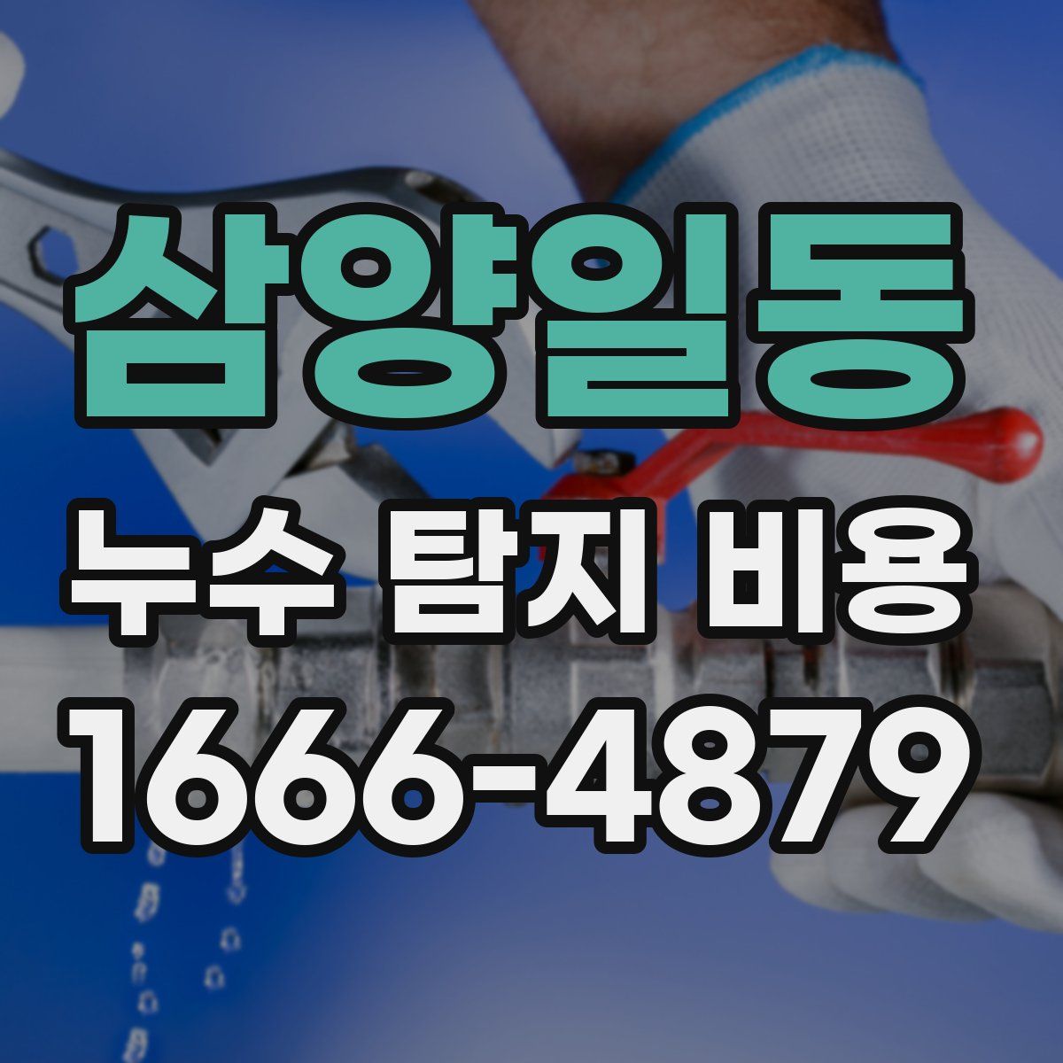 삼양일동 누수 탐지 비용