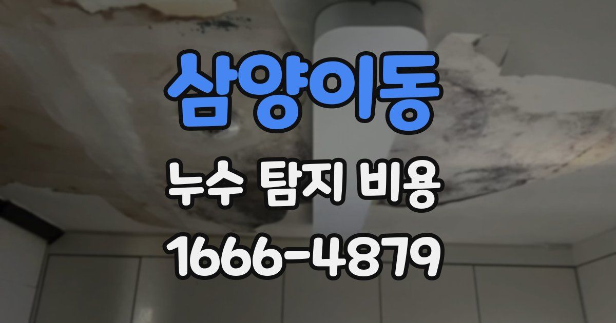 삼양이동 누수 탐지 비용