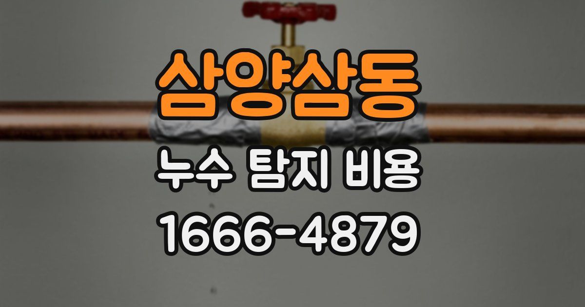 삼양삼동 누수 탐지 비용
