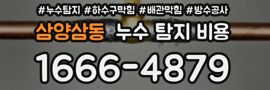 삼양삼동 누수 탐지 비용
