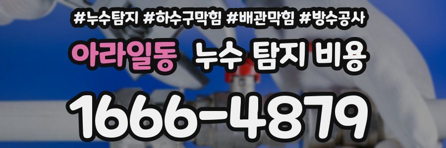 아라일동 누수 탐지 비용