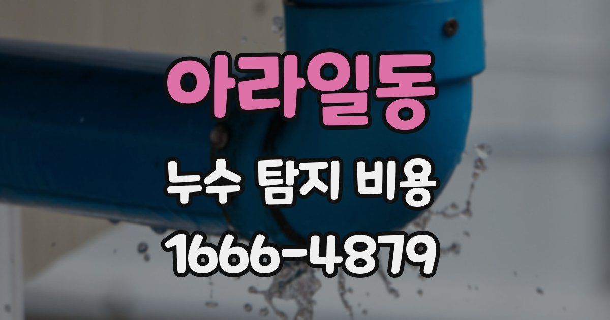아라일동 누수 탐지 비용