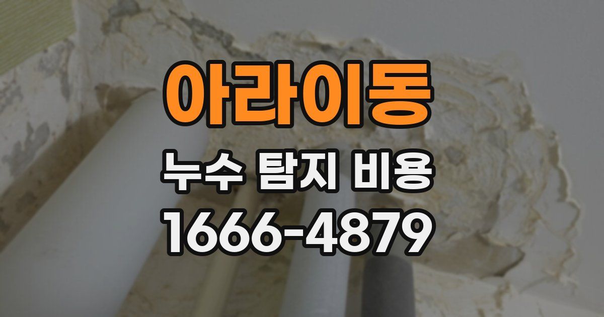 아라이동 누수 탐지 비용