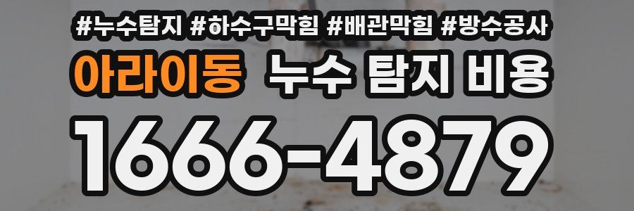 아라이동 누수 탐지 비용