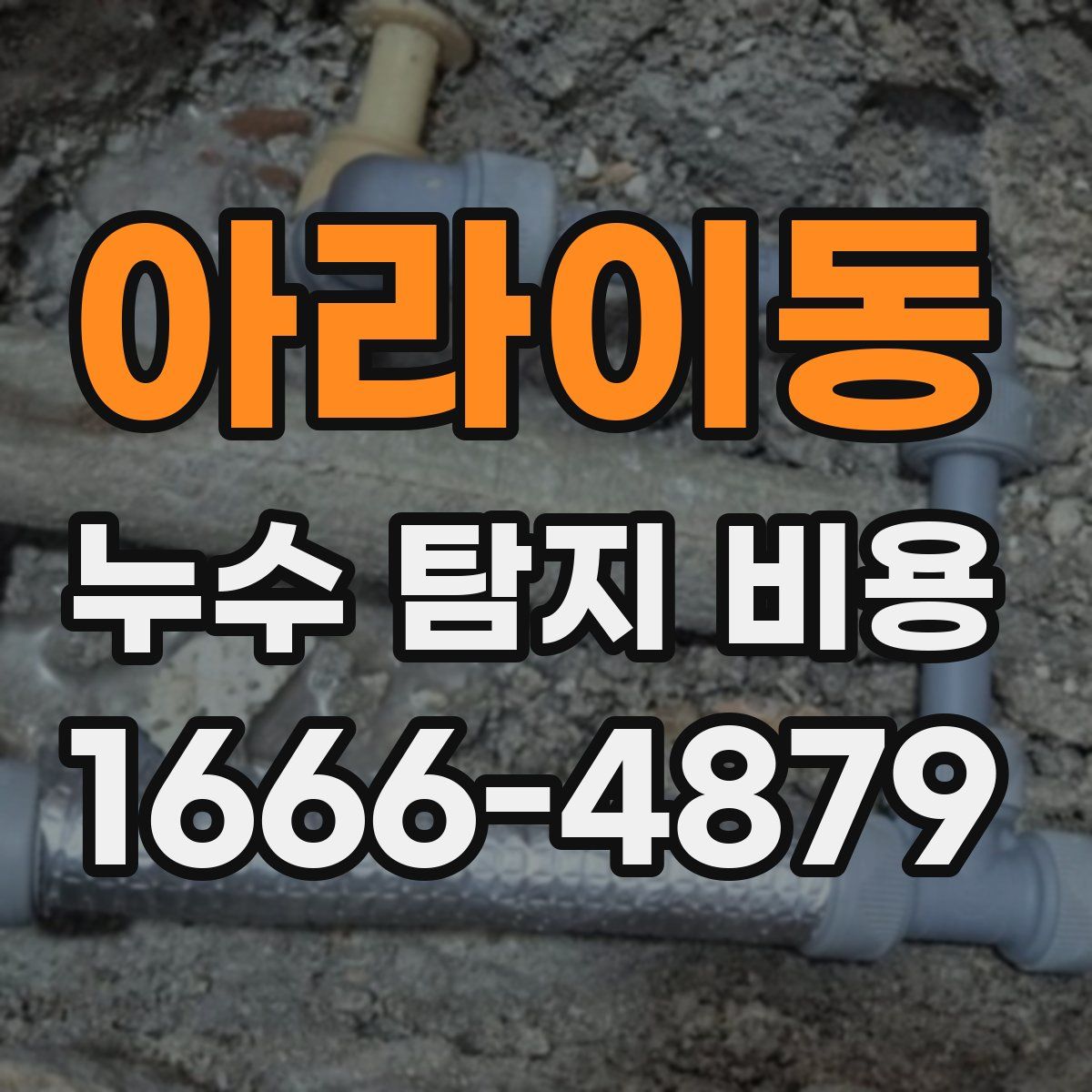 아라이동 누수 탐지 비용