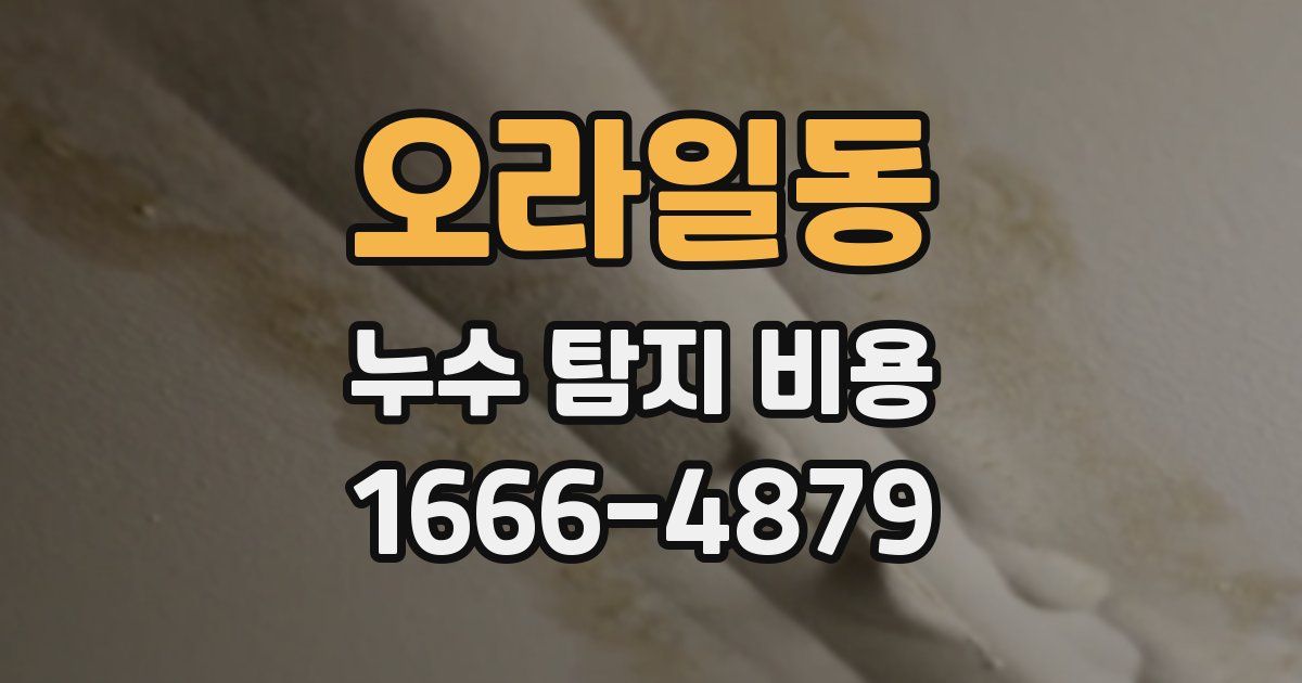 오라일동 누수 탐지 비용