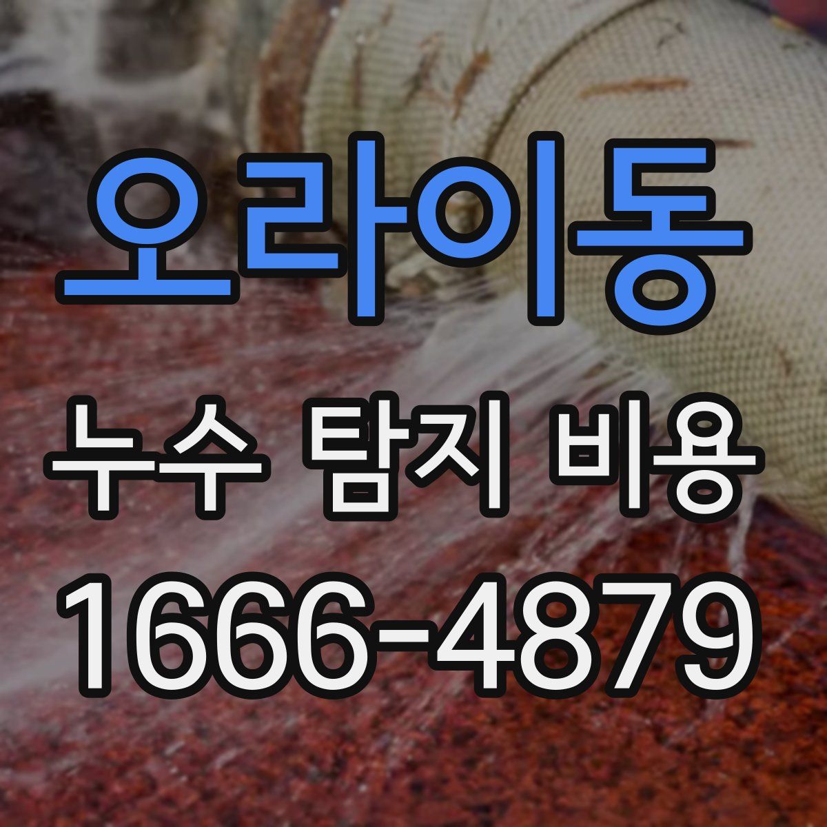 오라이동 누수 탐지 비용