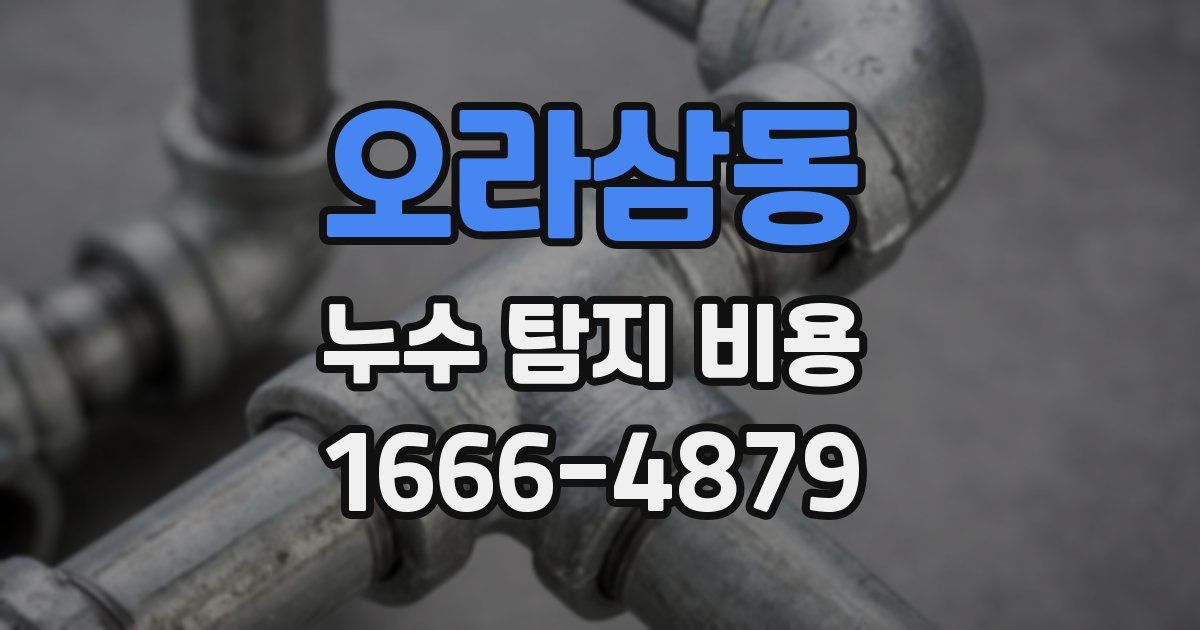 오라삼동 누수 탐지 비용