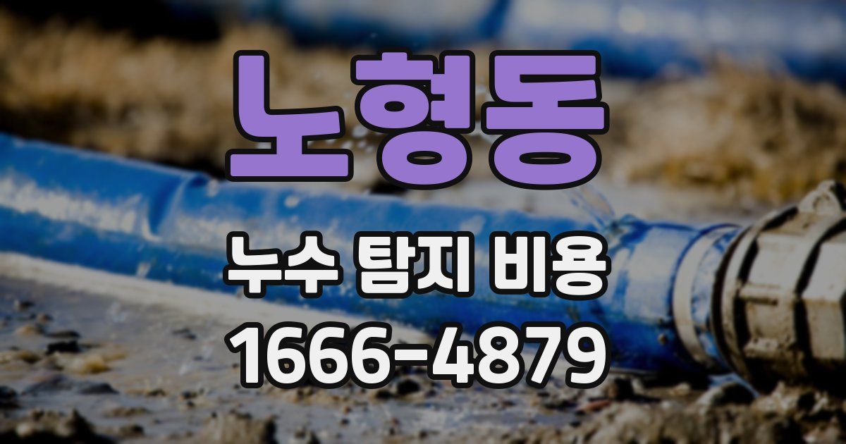 노형동 누수 탐지 비용