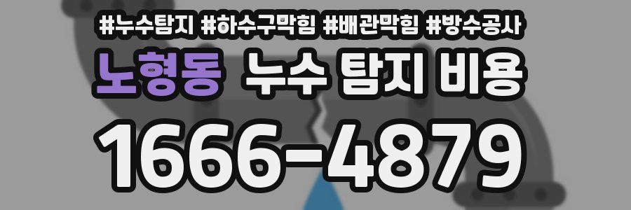 노형동 누수 탐지 비용