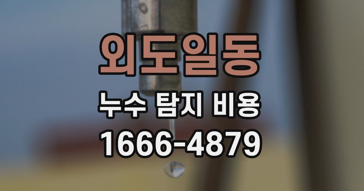 외도일동 누수 탐지 비용