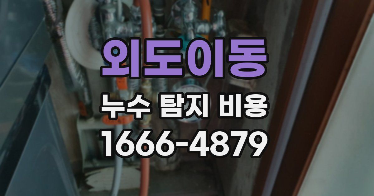 외도이동 누수 탐지 비용