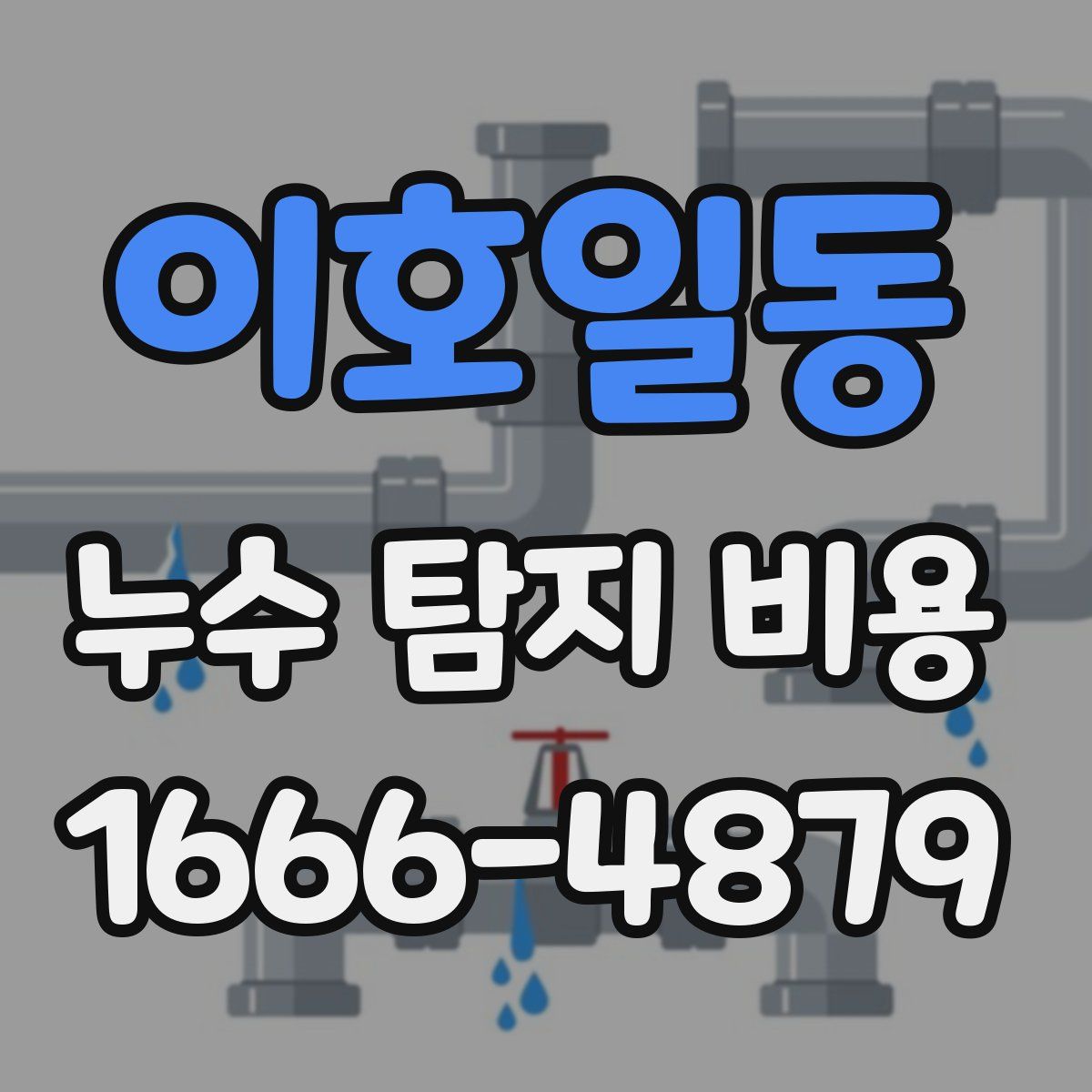 이호일동 누수 탐지 비용