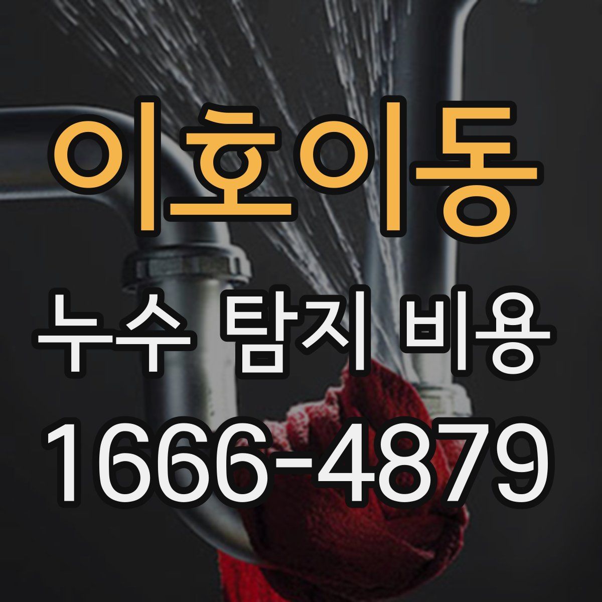 이호이동 누수 탐지 비용