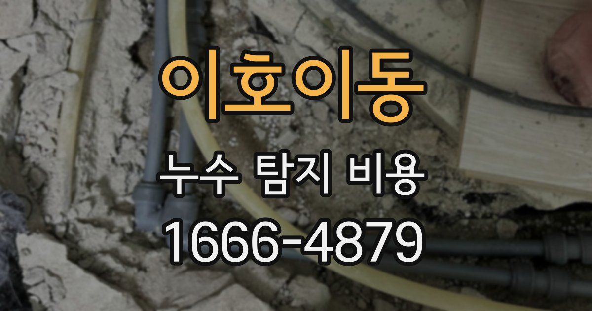 이호이동 누수 탐지 비용