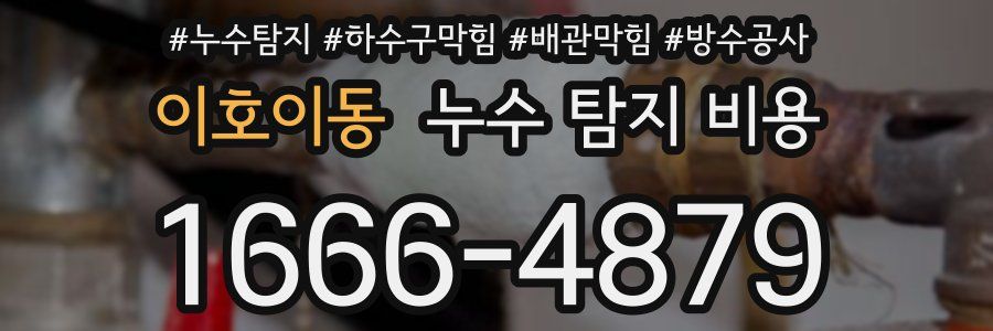 이호이동 누수 탐지 비용