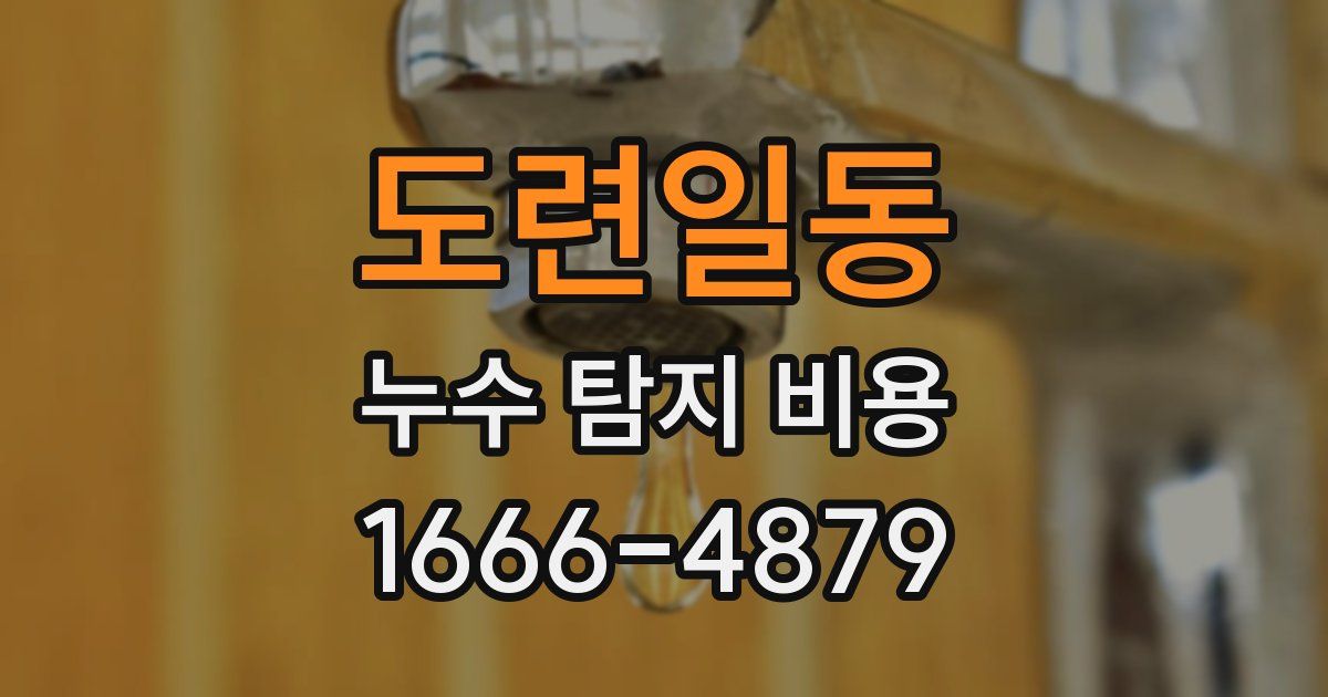 도련일동 누수 탐지 비용