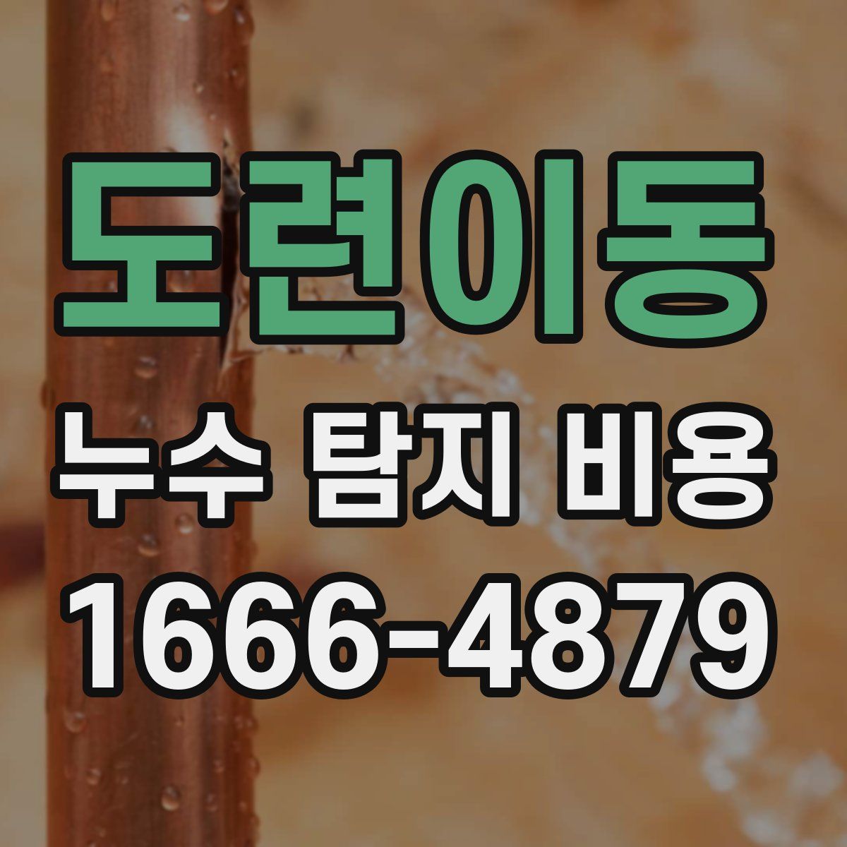도련이동 누수 탐지 비용